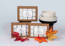 Load image into Gallery viewer, Electric Wax Warmer
